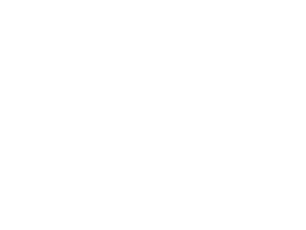 Lead Paw Racing Esports